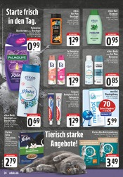 Katzenfutter im E center Prospekt in Menden Aktueller E center Prospekt mit Katzenfutter, "Aktuelle Angebote", Seite 24