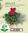 CyMueCa Trio im V-Markt Prospekt CyMueCa Trio von im aktuellen V-Markt Prospekt für 4,99 €
