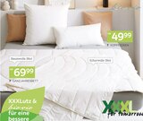 Aktuelles Betten-Serie „Pasi“ Angebot bei XXXLutz Möbelhäuser in Moers ab 49,99 €