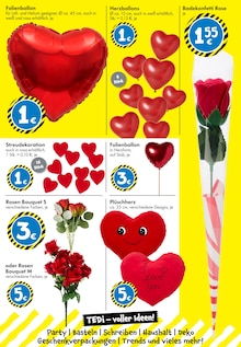 Pflanzen im TEDi Prospekt "TEDi - voller Ideen!" mit 29 Seiten (Chemnitz)