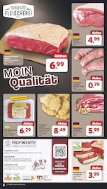 Schweinefilet im famila Nordwest Prospekt in Lingen Aktueller famila Nordwest Prospekt mit Schweinefilet, "Markt - Angebote", Seite 6