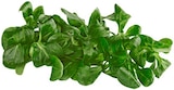 Aktuelle Gemüse Angebote bei REWE in Ludwigshafen (Rhein) Aktuelles Bio Feldsalat Angebot bei REWE in Ludwigshafen (Rhein) ab 1,29 €