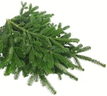 Handbund Nordmann-Tanne bei Wreesmann im Ziegra-Knobelsdorf Prospekt für 2,19 €