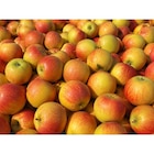 Pomme Reine des Reinettes - Carrefour à Tourcoing Pomme Reine des Reinettes en promo chez Carrefour Tourcoing à 2,99 €