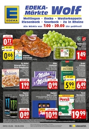 EDEKA Prospekt mit 24 Seiten (Neuenkirchen)