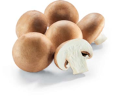 Netto Marken-Discount Senftenberg - Champignon braun Angebot im Prospekt Champignon braun bei Netto Marken-Discount im Senftenberg Prospekt für 1,79 €