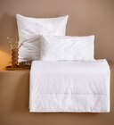 Aktuelles Ganzjahresbett „Pure Breeze“ Angebot bei XXXLutz Möbelhäuser in Aachen ab 39,99 €