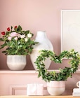 Keramikserie 'MIU' Übertopf von  im aktuellen Dehner Garten-Center Prospekt für 9,99 €