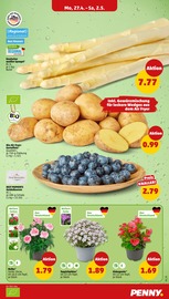 Aktueller Penny Prospekt mit Blumen, "Wer günstig will, muss Penny.", Seite 3