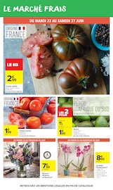Promos Plante Verte dans le catalogue "Carrefour market" de Carrefour Market Plante Verte en promo dans le catalogue Carrefour Market à la page 30