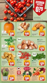 Aktueller REWE Prospekt mit Zimmerpflanzen, "Dein Markt", Seite 7