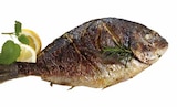 Dorade Rosmarin-Salbei-Melisse im Angebot bei E center in Münster Dorade Rosmarin-Salbei-Melisse Angebote bei E center Münster für 1,49 €