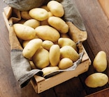 Pomme de terre de consommation - INTERMARCHÉ TERROIRS - Intermarché Super à Villenave-d'Ornon Pomme de terre de consommation - INTERMARCHÉ TERROIRS en promo chez Intermarché Super Villenave-d'Ornon à 2,09 €