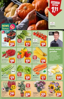 Pflanzen im aktuellen REWE Prospekt (Bielefeld) Pflanzen im REWE Prospekt "Dein Markt" mit 26 Seiten (Bielefeld)