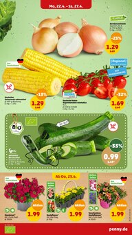 Gemüse Angebot im aktuellen Penny-Markt Prospekt auf Seite 3