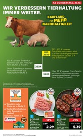 Hackfleisch im Kaufland Prospekt in Heinsberg Aktueller Kaufland Prospekt mit Hackfleisch, "Aktuelle Angebote", Seite 23