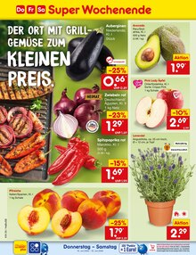 Blumen im aktuellen Netto Marken-Discount Prospekt (Wuppertal) Blumen im Netto Marken-Discount Prospekt "Aktuelle Angebote" mit 75 Seiten (Wuppertal)