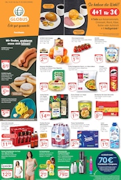 Aktueller GLOBUS Supermarkt Prospekt in Wiesenttal und Umgebung, "Aktuelle Angebote" mit 19 Seiten, 16.02.2026 - 21.02.2026