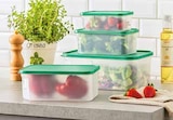 Vorratsdosen-Set im Segmüller Prospekt Vorratsdosen-Set von im aktuellen Segmüller Prospekt für 4,99 €