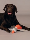 Jouet flying george - DOGS CREEK en promo chez Maxi Zoo Jouet flying george - DOGS CREEK dans le catalogue Maxi Zoo