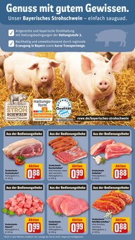 Schweinefleisch im REWE Prospekt "Dein Markt" mit 20 Seiten (Erlangen)