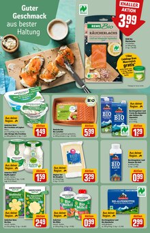 Joghurt im aktuellen REWE Prospekt (Regensburg) Joghurt im REWE Prospekt "Dein Markt" mit 32 Seiten (Regensburg)