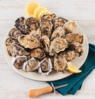 Huîtres fines de Bretagne - U en promo chez Super U Quimper à 10,36 €