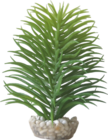 Sélection de plantes artificielles pour aquarium et terrarium - LABEO en promo chez Animalis Sélection de plantes artificielles pour aquarium et terrarium - LABEO dans le catalogue Animalis