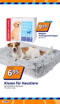 Kissen im aktuellen Action Prospekt (Bottrop) Kissen im Action Prospekt "Wochenangebote" mit 36 Seiten (Bottrop)