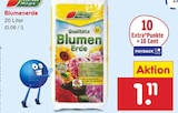 Aktuelle Blumenerde Angebote bei Netto Marken-Discount in Regensburg Aktuelles Blumenerde Angebot bei Netto Marken-Discount in Regensburg ab 1,11 €