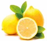 Bio-Zitronen Angebot in Olching Bio-Zitronen im aktuellen Prospekt bei EDEKA in Olching