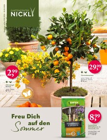 Gartencenter Nickl Prospekt Freu dich auf den Sommer mit  Seiten in Nußdorf (Inn) und Umgebung