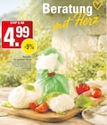 WEZ Rinteln Prospekt mit  im Angebot für 4,99 €