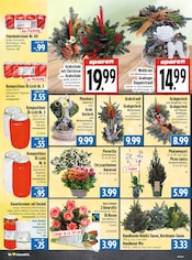Garten im EDEKA Prospekt in Gießen Aktueller EDEKA Prospekt mit Garten, "Aktuelle Angebote", Seite 6