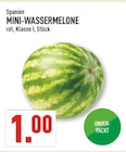 Marktkauf Münster - MINI-WASSERMELONE Angebot im Prospekt MINI-WASSERMELONE bei Marktkauf im Münster Prospekt für 1,00 €