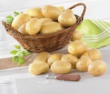 Pomme de terre de consommation nouvelle récolte - Super U à Saint-Chamond Pomme de terre de consommation nouvelle récolte en promo chez Super U Saint-Chamond à 2,99 €