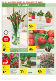 Prix et réduction Bouquet De Fleurs dans le prospectus Carrefour Market en cours Offre Bouquet De Fleurs dans le catalogue Carrefour Market du moment à la page 42