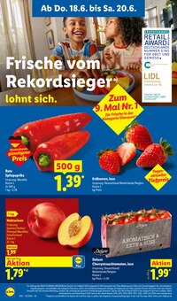 Tomaten im aktuellen Lidl Prospekt (Mönchengladbach) Tomaten im Lidl Prospekt "LIDL LOHNT SICH" mit 70 Seiten (Mönchengladbach)