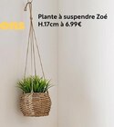 Plante à suspendre Zoé - Maxi Bazar Plante à suspendre Zoé à 6,99 € dans le catalogue Maxi Bazar
