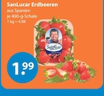 Erdbeeren im V-Markt Prospekt zum Preis von 1,99 €