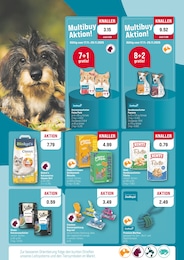 ZooRoyal Sheba im Prospekt 