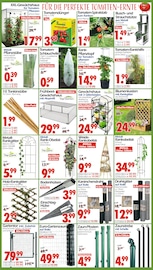 Aktueller Wreesmann Prospekt mit Regal, "DEIN SAISON- & SONDERPOSTENMARKT!", Seite 4