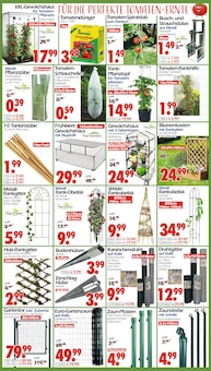 Sonnenschirm im Wreesmann Prospekt "DEIN SAISON- & SONDERPOSTENMARKT!" mit 20 Seiten (Cottbus)