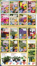 Rum im CENTERSHOP Prospekt in Recklinghausen Aktueller CENTERSHOP Prospekt mit Rum, "Da geht was.", Seite 2