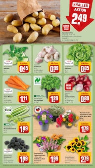 Knoblauch im aktuellen REWE Prospekt (Duisburg) Knoblauch im REWE Prospekt "Dein Markt" mit 26 Seiten (Duisburg)