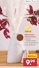 Netto Marken-Discount Weißenfels Prospekt mit  im Angebot für 9,99 €