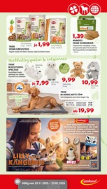 Aktueller Zookauf Prospekt mit Teppichboden, "Alles für tierische Verwöhn-Momente", Seite 5