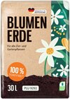 Blumenerde im Angebot bei REWE in Hamm Blumenerde Angebote bei REWE Hamm für 2,99 €