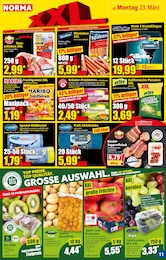 Teekanne Angebot im aktuellen Norma Prospekt auf Seite 11