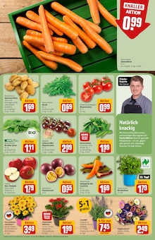 Äpfel im REWE Prospekt "Dein Markt" mit 30 Seiten (Lübeck)
